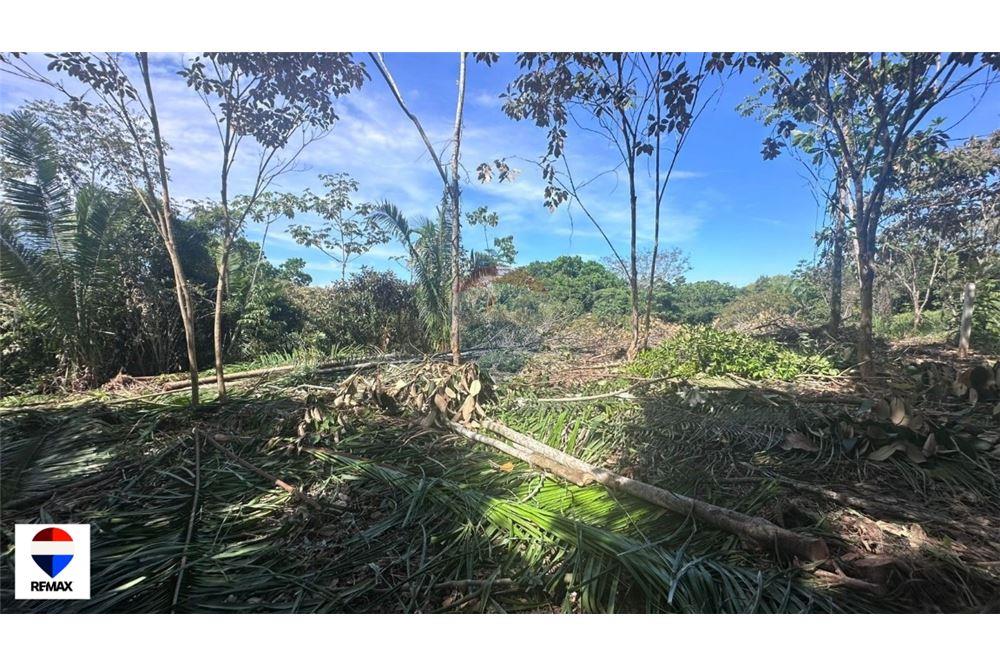 Commercial - Land - Parrita - Esterillos, Puntarenas - Parrita, Costa Rica - Caribbean & Central Ameri - 13 - 90168030-72