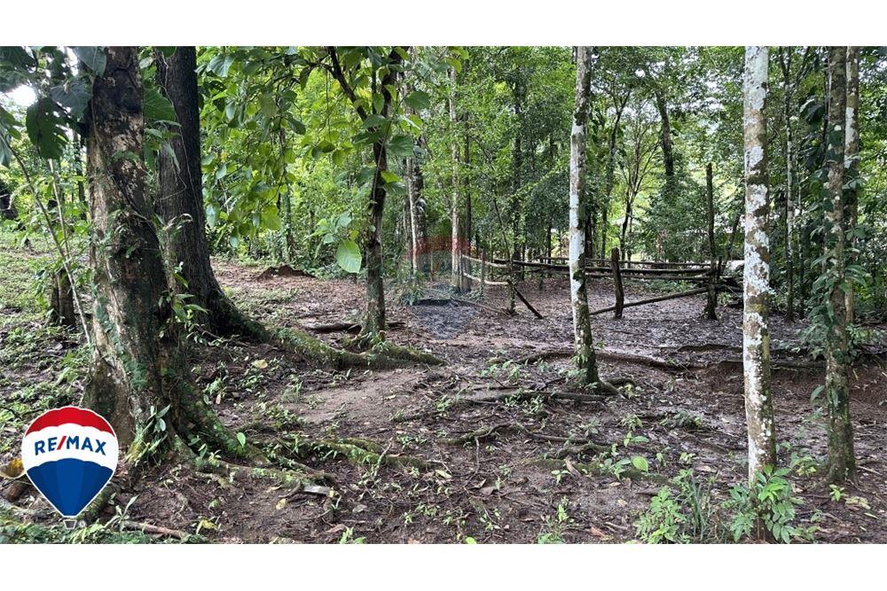 Commercial - Land - San José, San José, Costa Rica - Caribbean & Central Ameri - 10 - 90168030-67