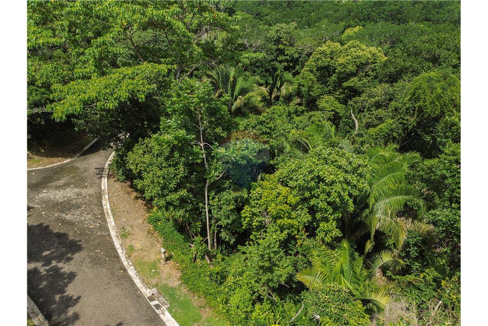 Commercial - Land - Parrita - Esterillos, Puntarenas - Parrita, Costa Rica - Caribbean & Central Ameri - 4 - 90168039-32