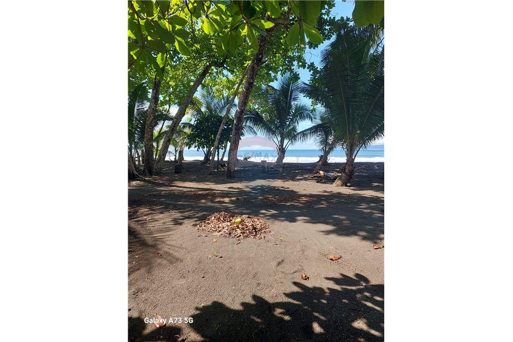 Commercial - Land - Pavones, Guanacaste, Costa Rica - Caribbean & Central Ameri - 1 - 90168026-97