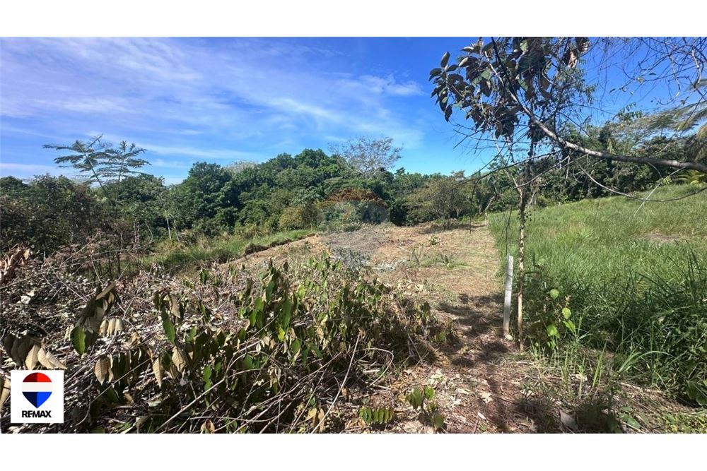 Commercial - Land - Parrita - Esterillos, Puntarenas - Parrita, Costa Rica - Caribbean & Central Ameri - 22 - 90168030-72