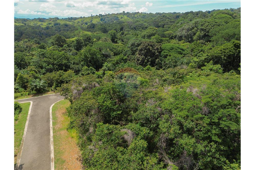 Commercial - Land - Parrita - Esterillos, Puntarenas - Parrita, Costa Rica - Caribbean & Central Ameri - 3 - 90168039-32