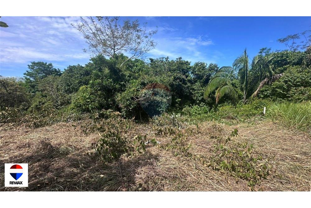 Commercial - Land - Parrita - Esterillos, Puntarenas - Parrita, Costa Rica - Caribbean & Central Ameri - 20 - 90168030-72