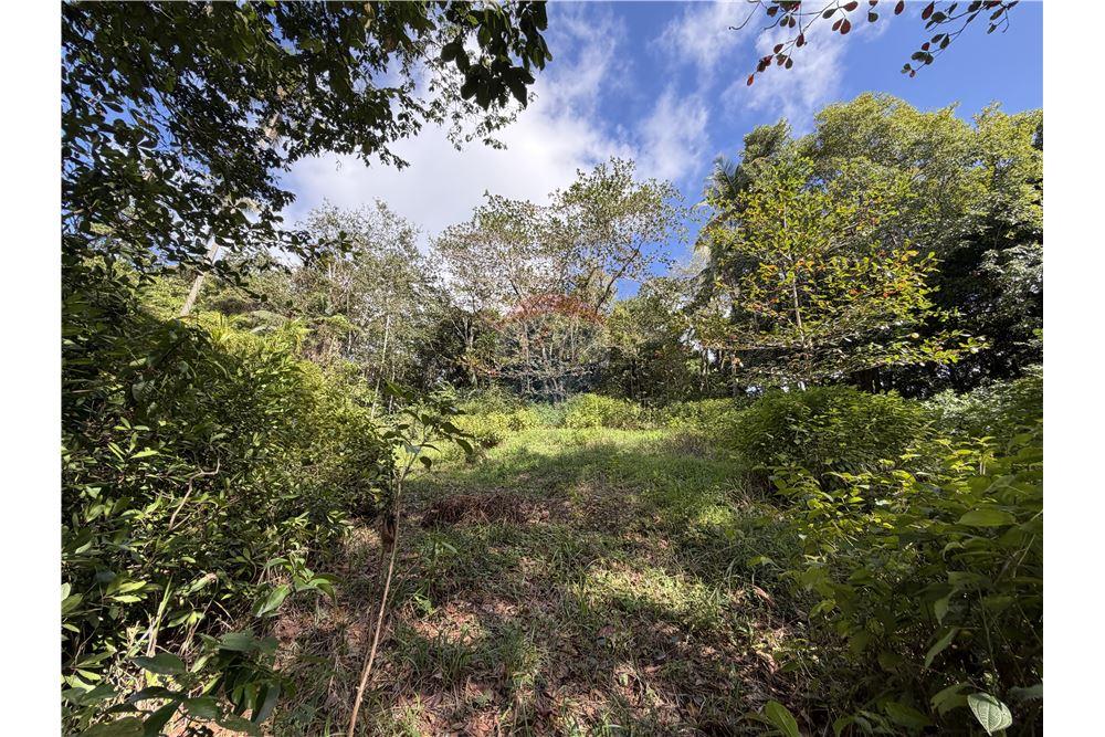 Commercial - Land - Balata, Castries, St Lucia - Caribbean & Central Ameri - 9 - 902071001-223