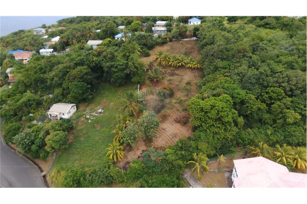 Commercial - Land - Stubbs, St Vincent, St Vincent and the Grenadines - Caribbean & Central Ameri - 2 - 90109004-55