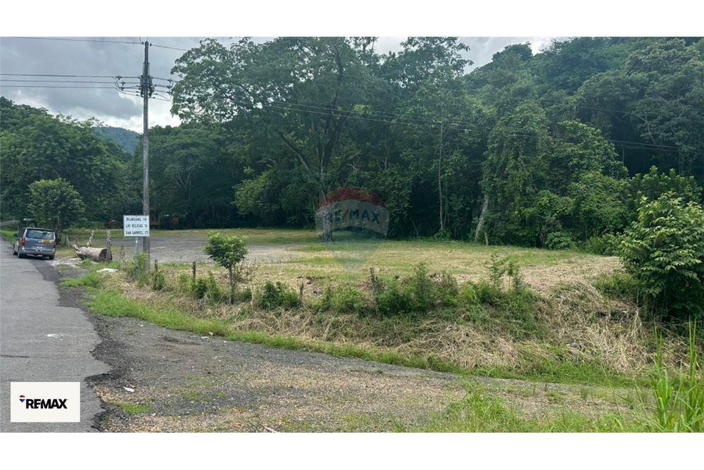 Commercial - Land - Puntarenas, Puntarenas - Puntarenas, Costa Rica - Caribbean & Central Ameri - 23 - 90168030-53