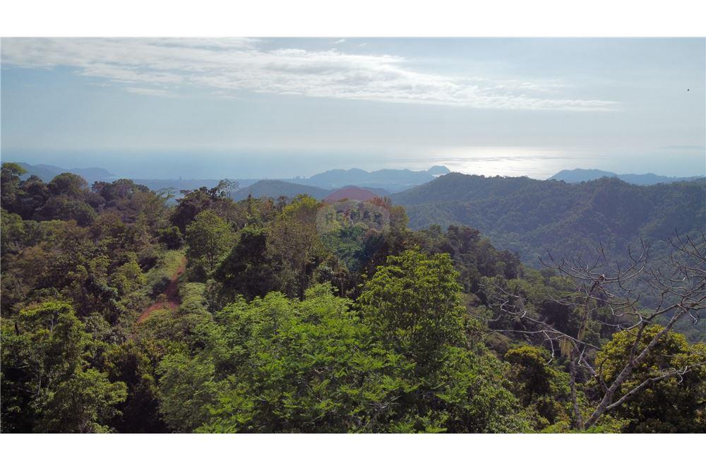 Commercial - Land - Bijagual, Puntarenas, Costa Rica - Caribbean & Central Ameri - 19 - 90168030-68