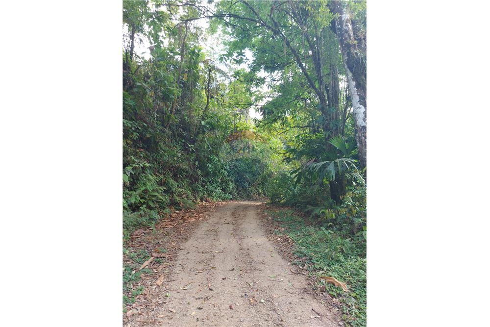 Commercial - Land - Bijagual, Puntarenas, Costa Rica - Caribbean & Central Ameri - 22 - 90168030-68