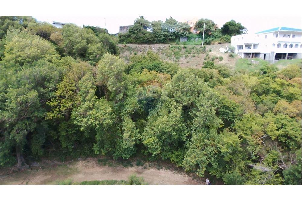 Commercial - Land - Prospect, St Vincent, St Vincent and the Grenadines - Caribbean & Central Ameri - 9 - 90109004-64