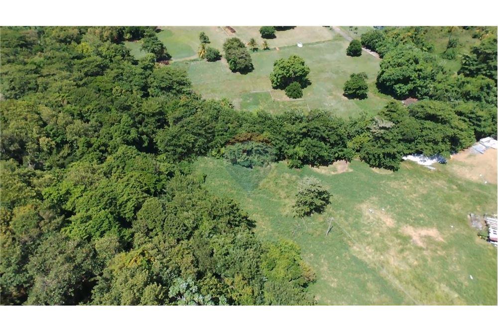 Commercial - Land - Prospect, St Vincent, St Vincent and the Grenadines - Caribbean & Central Ameri - 7 - 90109004-61