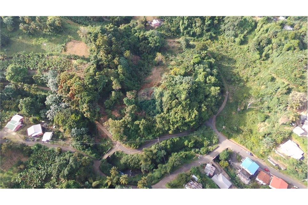 Commercial - Land - Adelphi, St Vincent, St Vincent and the Grenadines - Caribbean & Central Ameri - 7 - 90109004-59