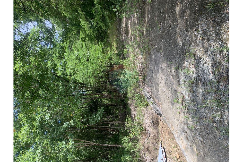 Commercial - Land - Gros Islet, Gros-Islet, St Lucia - Caribbean & Central Ameri - 16 - 902071001-212