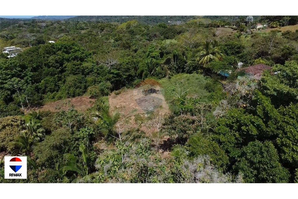 Commercial - Land - Parrita - Esterillos, Puntarenas - Parrita, Costa Rica - Caribbean & Central Ameri - 5 - 90168030-72