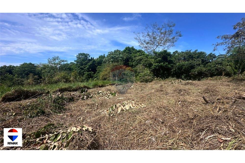 Commercial - Land - Parrita - Esterillos, Puntarenas - Parrita, Costa Rica - Caribbean & Central Ameri - 16 - 90168030-72