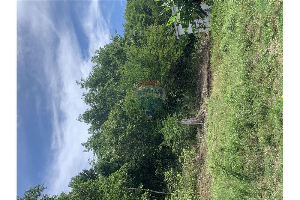 Commercial - Land - Gros Islet, Gros-Islet, St Lucia - Caribbean & Central Ameri - 15 - 902071001-212