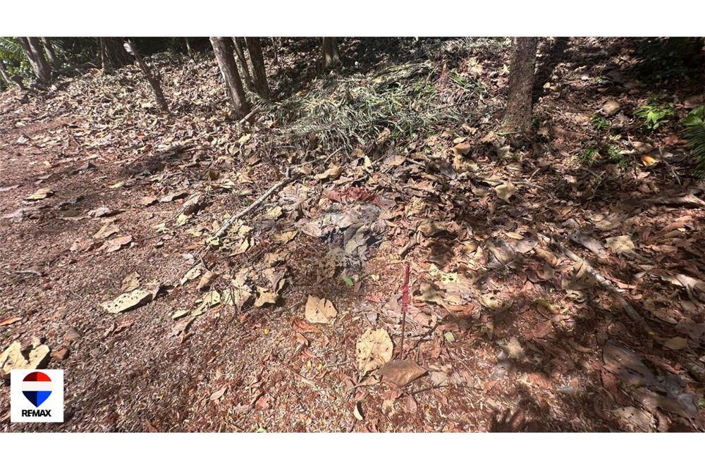 Commercial - Land - Parrita - Esterillos, Puntarenas - Parrita, Costa Rica - Caribbean & Central Ameri - 10 - 90168030-72