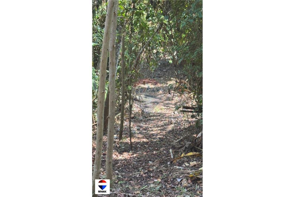 Commercial - Land - Tarcoles - Quebrada Ganado, Puntarenas- Garabito, Costa Rica - Caribbean & Central Ameri - 12 - 90168030-59