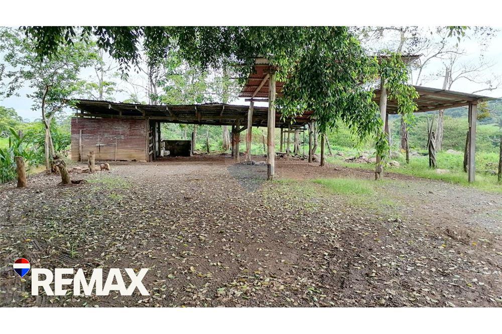 Commercial - Land - Parrita, Puntarenas - Parrita, Costa Rica - Caribbean & Central Ameri - 6 - 90168013-191