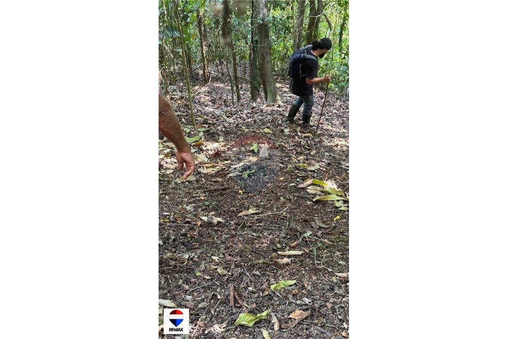 Commercial - Land - Tarcoles - Quebrada Ganado, Puntarenas- Garabito, Costa Rica - Caribbean & Central Ameri - 20 - 90168030-59