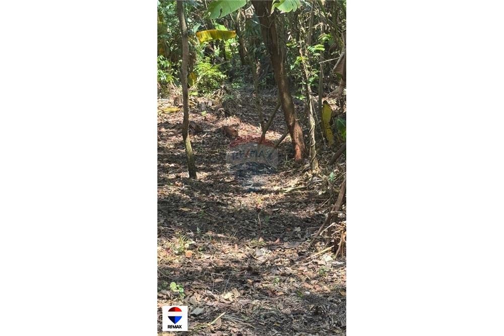 Commercial - Land - Tarcoles - Quebrada Ganado, Puntarenas- Garabito, Costa Rica - Caribbean & Central Ameri - 13 - 90168030-59