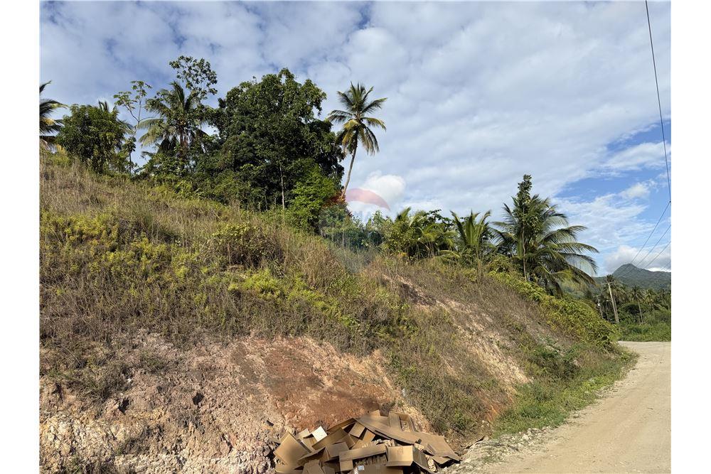 Commercial - Land - Castries, Castries, St Lucia - Caribbean & Central Ameri - 1 - 902071001-230