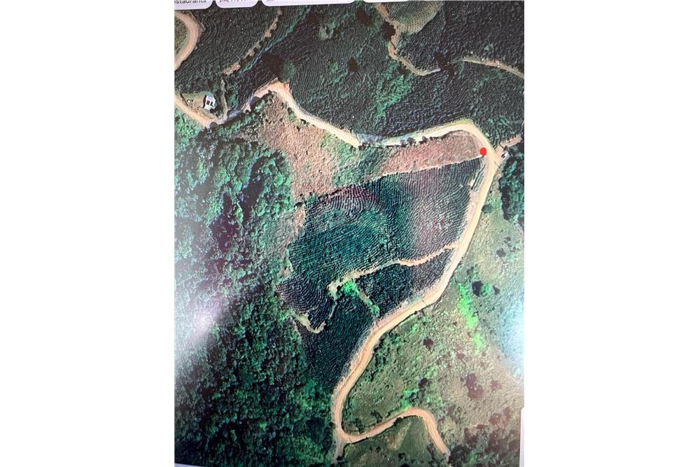 Commercial - Land - León XIII, San José - Tibás, Costa Rica - Caribbean & Central Ameri - 1 - 90168016-213