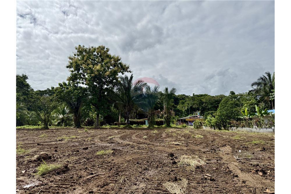 Commercial - Land - Pavones, Guanacaste, Costa Rica - Caribbean & Central Ameri - 4 - 90168026-91