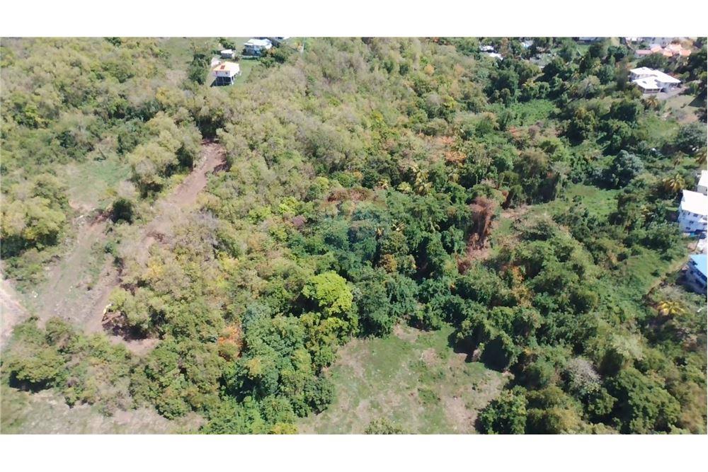Commercial - Land - Brighton Village, St Vincent, St Vincent and the Grenadines - Caribbean & Central Ameri - 5 - 90109001-351