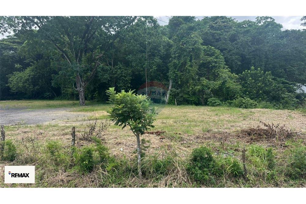 Commercial - Land - Puntarenas, Puntarenas - Puntarenas, Costa Rica - Caribbean & Central Ameri - 19 - 90168030-53