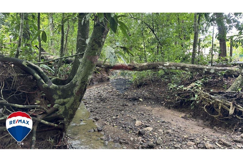 Commercial - Land - San José, San José, Costa Rica - Caribbean & Central Ameri - 9 - 90168030-67