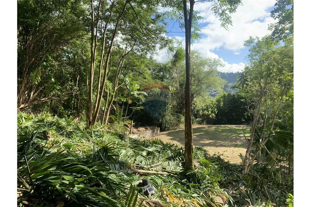 Commercial - Land - Castries, Castries, St Lucia - Caribbean & Central Ameri - 5 - 902071001-227