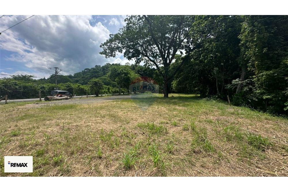 Commercial - Land - Puntarenas, Puntarenas - Puntarenas, Costa Rica - Caribbean & Central Ameri - 11 - 90168030-53