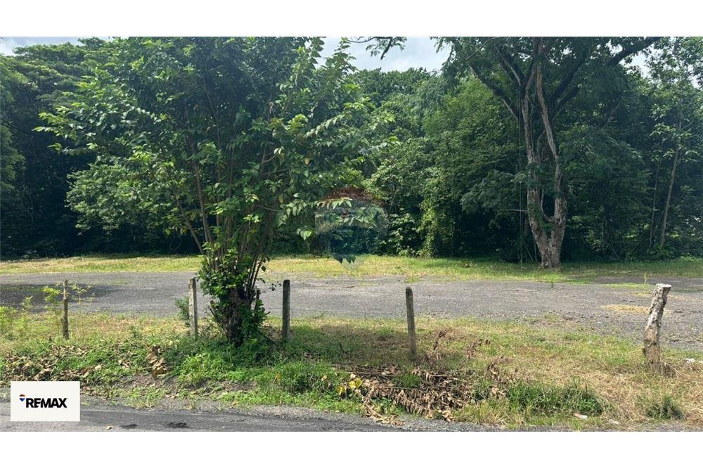 Commercial - Land - Puntarenas, Puntarenas - Puntarenas, Costa Rica - Caribbean & Central Ameri - 24 - 90168030-53