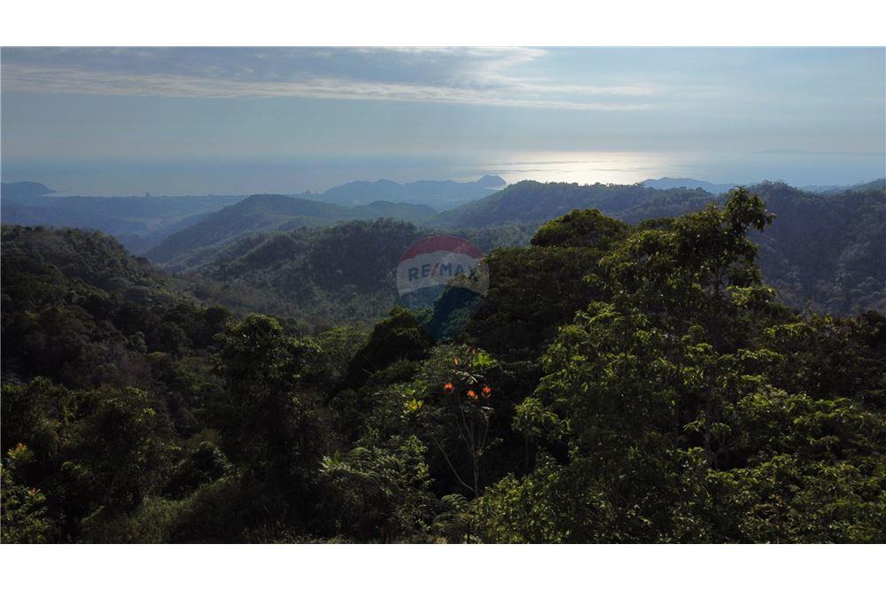 Commercial - Land - Bijagual, Puntarenas, Costa Rica - Caribbean & Central Ameri - 2 - 90168030-68