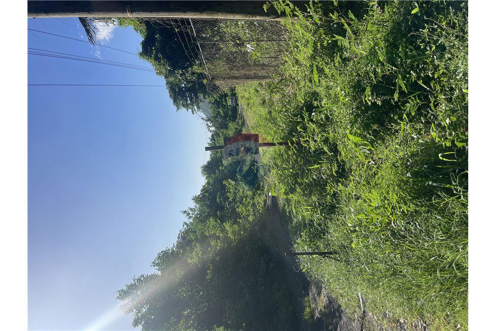 Commercial - Land - La Pearle, Soufrière, St Lucia - Caribbean & Central Ameri - 2 - 902071001-222