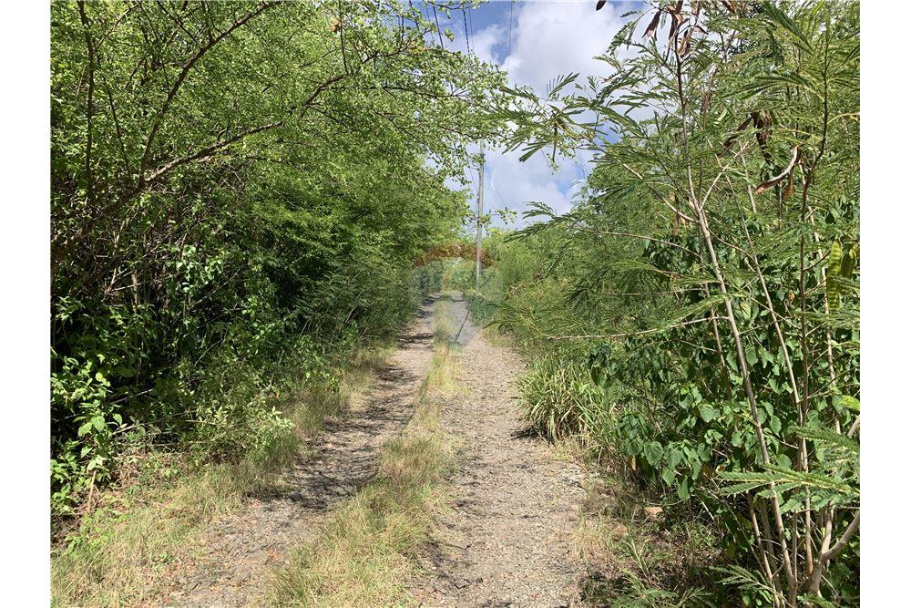 Commercial - Land - Gros Islet, Gros-Islet, St Lucia - Caribbean & Central Ameri - 9 - 902071001-213