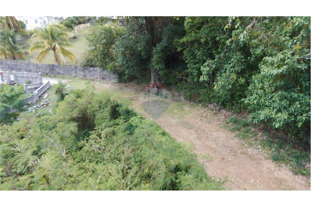 Commercial - Land - Prospect, St Vincent, St Vincent and the Grenadines - Caribbean & Central Ameri - 11 - 90109004-64
