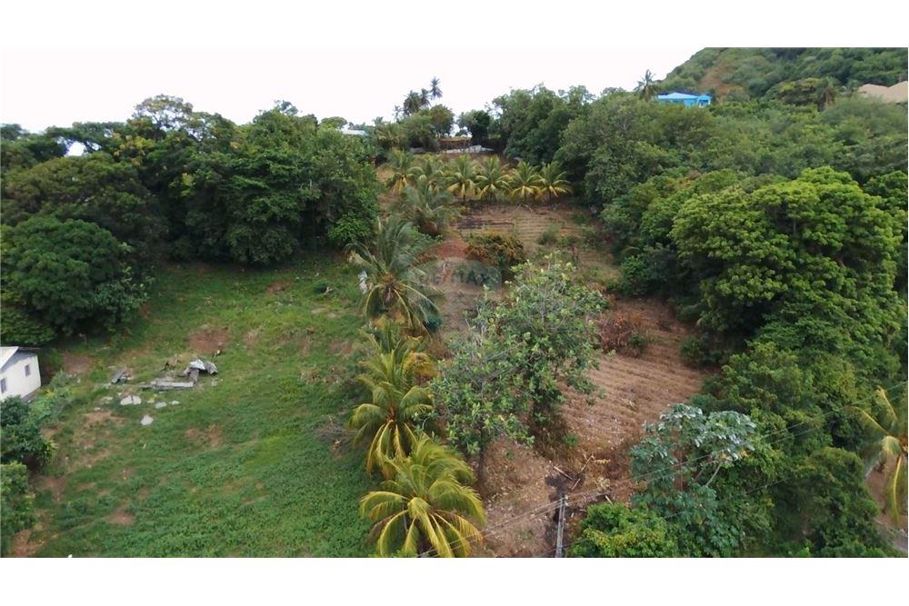 Commercial - Land - Stubbs, St Vincent, St Vincent and the Grenadines - Caribbean & Central Ameri - 8 - 90109004-55