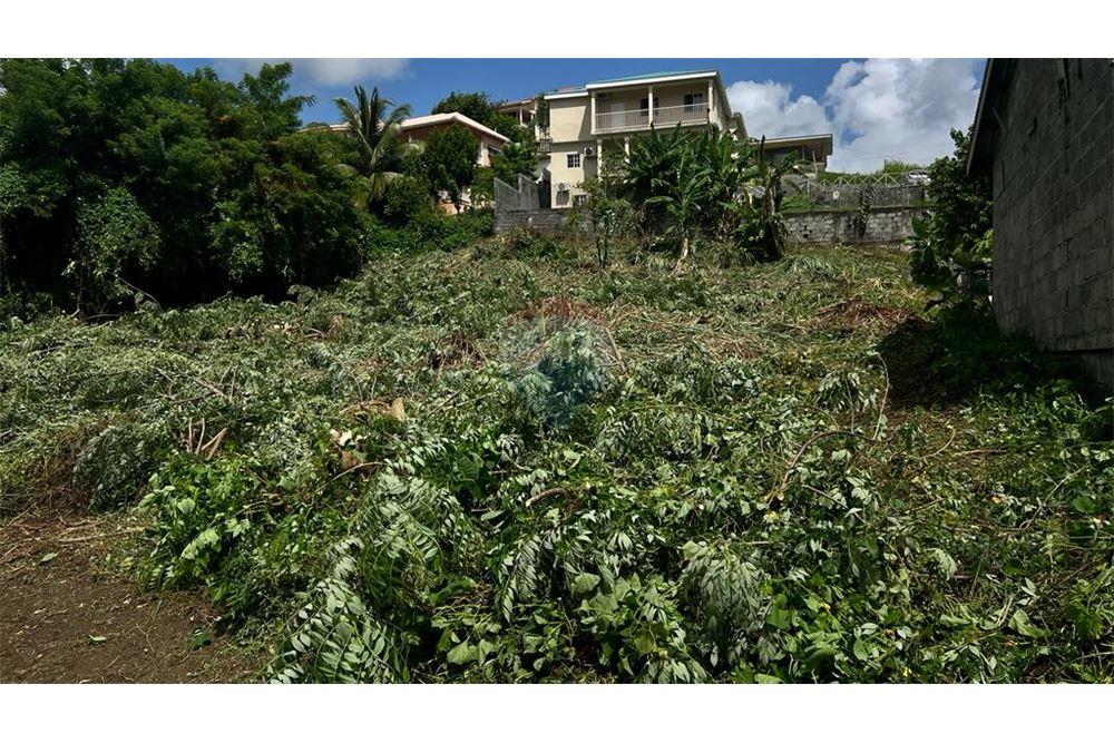 Commercial - Land - Arnos Vale, St Vincent, St Vincent and the Grenadines - Caribbean & Central Ameri - 1 - 90109004-72