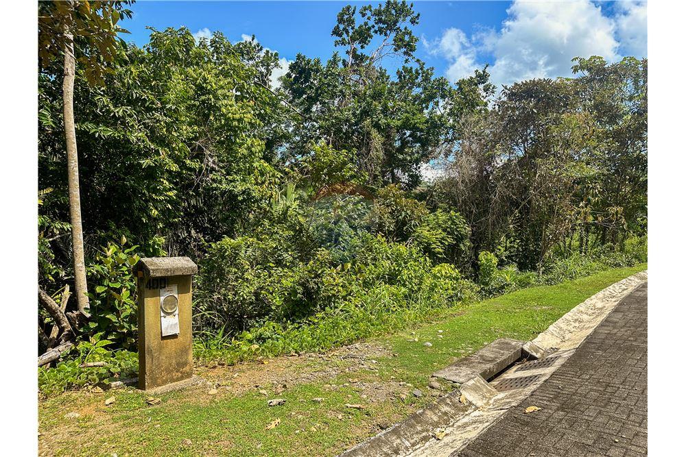 Commercial - Land - Parrita - Esterillos, Puntarenas - Parrita, Costa Rica - Caribbean & Central Ameri - 8 - 90168039-31