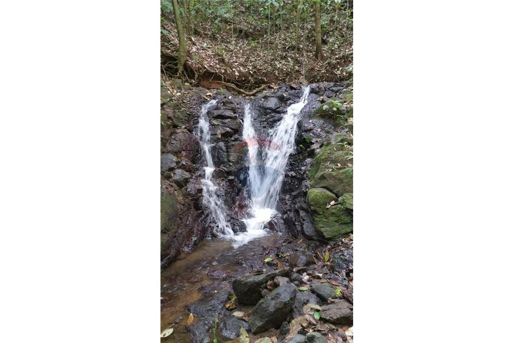 Commercial - Land - Bijagual, Puntarenas, Costa Rica - Caribbean & Central Ameri - 25 - 90168030-68