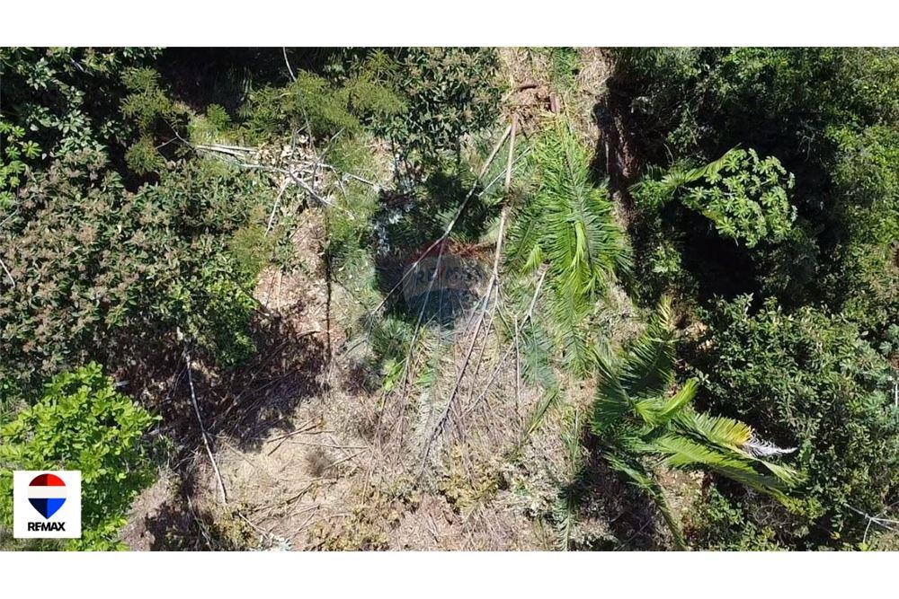 Commercial - Land - Parrita - Esterillos, Puntarenas - Parrita, Costa Rica - Caribbean & Central Ameri - 2 - 90168030-72