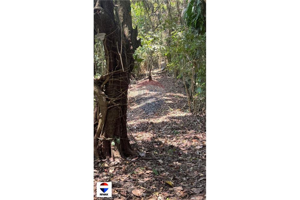 Commercial - Land - Tarcoles - Quebrada Ganado, Puntarenas- Garabito, Costa Rica - Caribbean & Central Ameri - 17 - 90168030-59
