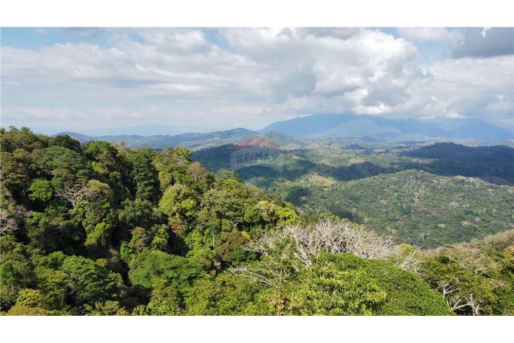 Commercial - Land - Bijagual, Puntarenas, Costa Rica - Caribbean & Central Ameri - 13 - 90168030-68