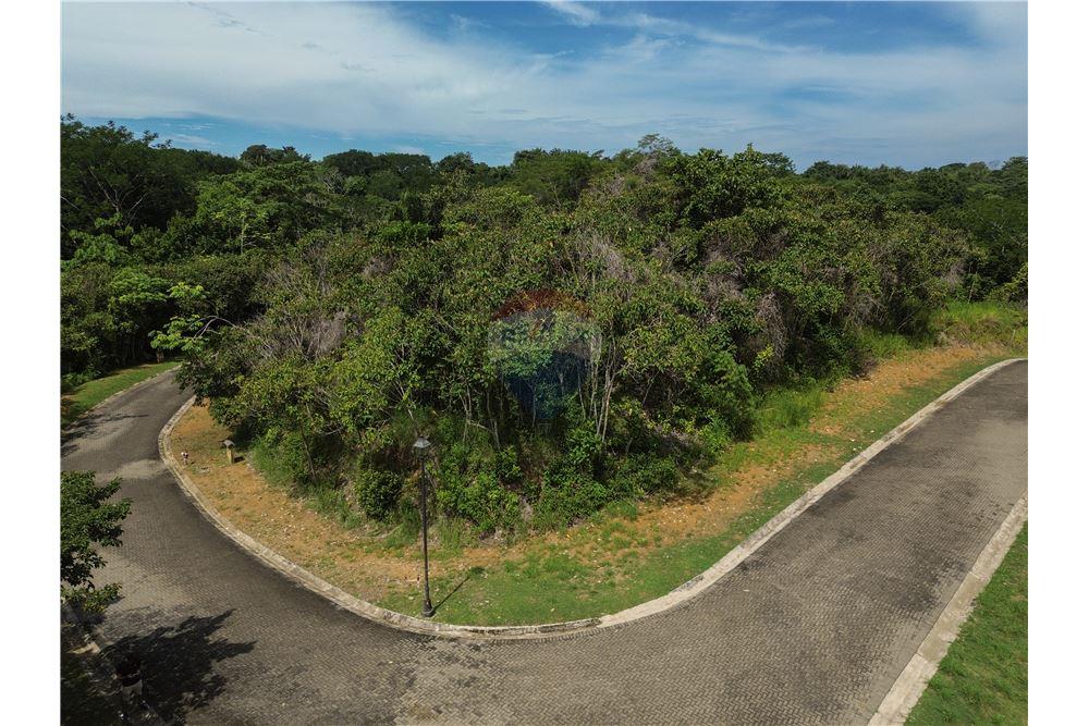 Commercial - Land - Parrita - Esterillos, Puntarenas - Parrita, Costa Rica - Caribbean & Central Ameri - 14 - 90168039-32