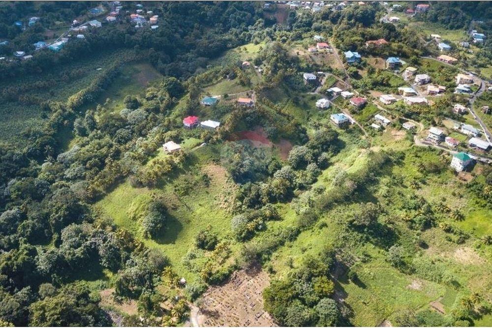 Commercial - Land - Mesopotamia, St Vincent, St Vincent and the Grenadines - Caribbean & Central Ameri - 1 - 90109001-347