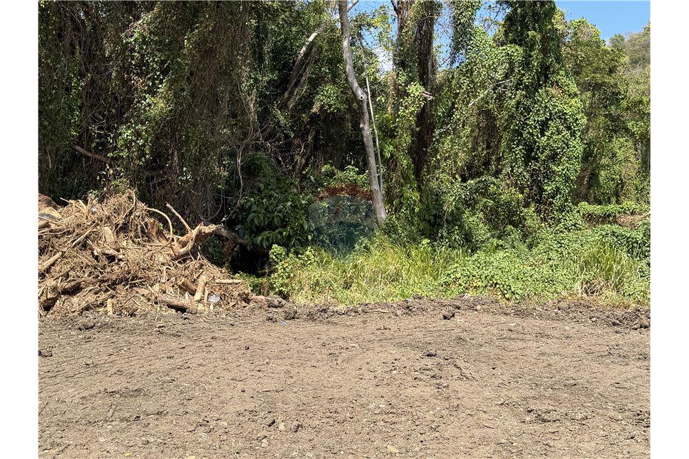 Commercial - Land - Gros Islet, Gros-Islet, St Lucia - Caribbean & Central Ameri - 3 - 902071001-224