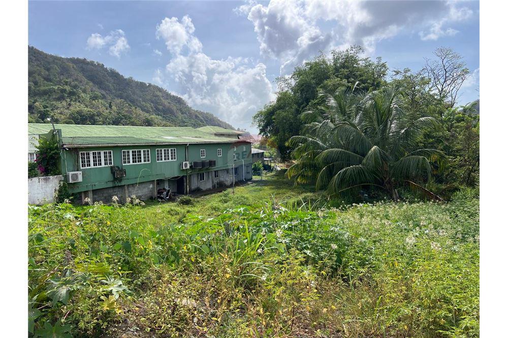 Commercial - Land - Buccament, St Vincent, St Vincent and the Grenadines - Caribbean & Central Ameri - 2 - 90109004-67