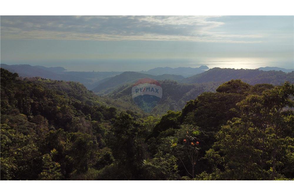 Commercial - Land - Bijagual, Puntarenas, Costa Rica - Caribbean & Central Ameri - 3 - 90168030-68