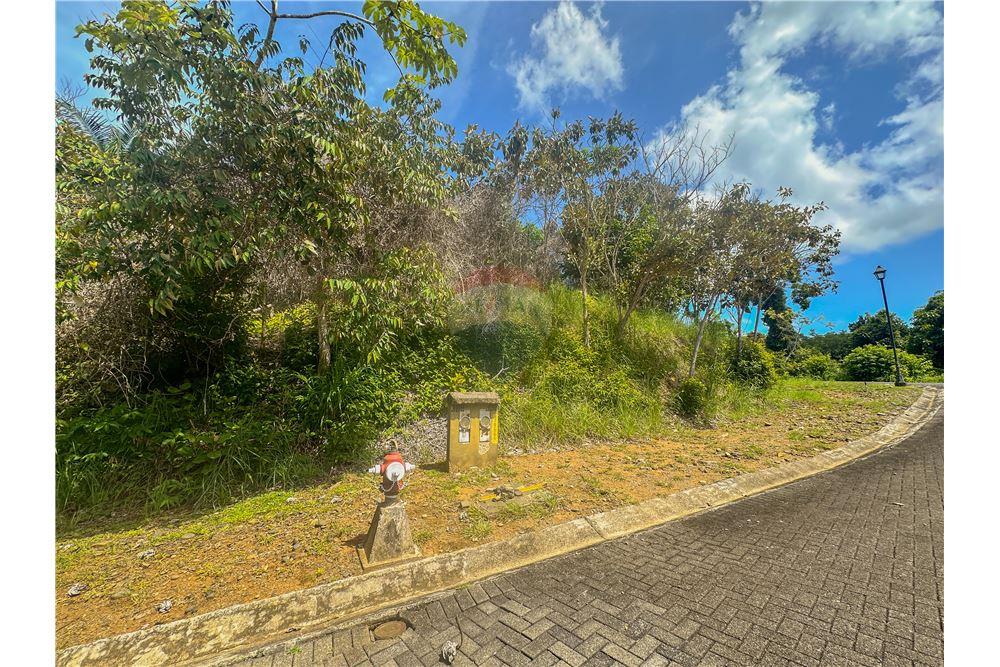 Commercial - Land - Parrita - Esterillos, Puntarenas - Parrita, Costa Rica - Caribbean & Central Ameri - 5 - 90168039-32